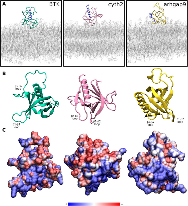 Fig. 9.