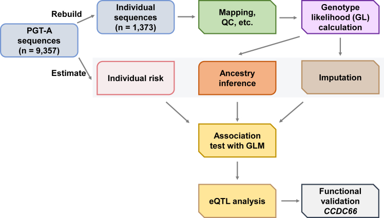 Figure 1