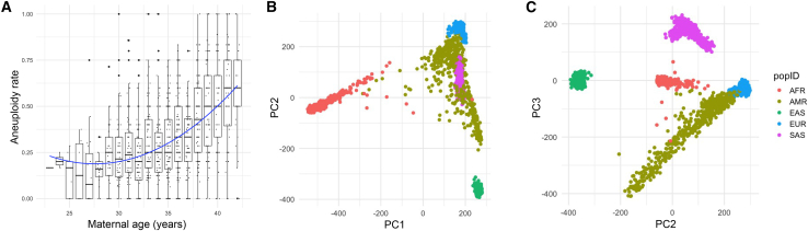 Figure 2