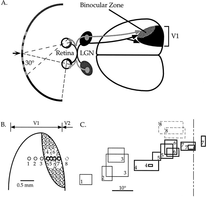 Fig. 1.