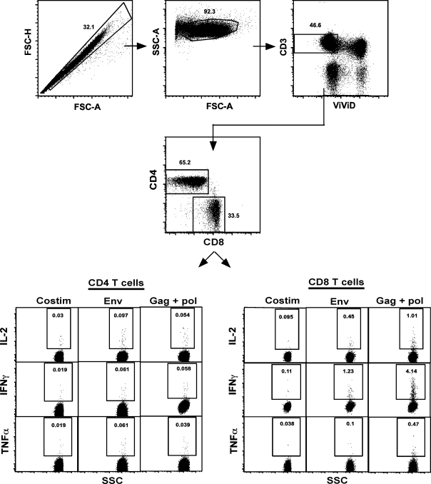 FIG. 4.