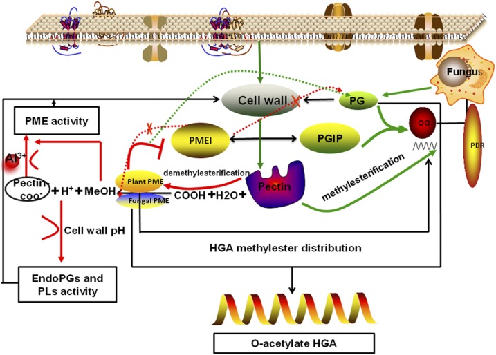 Figure 12.