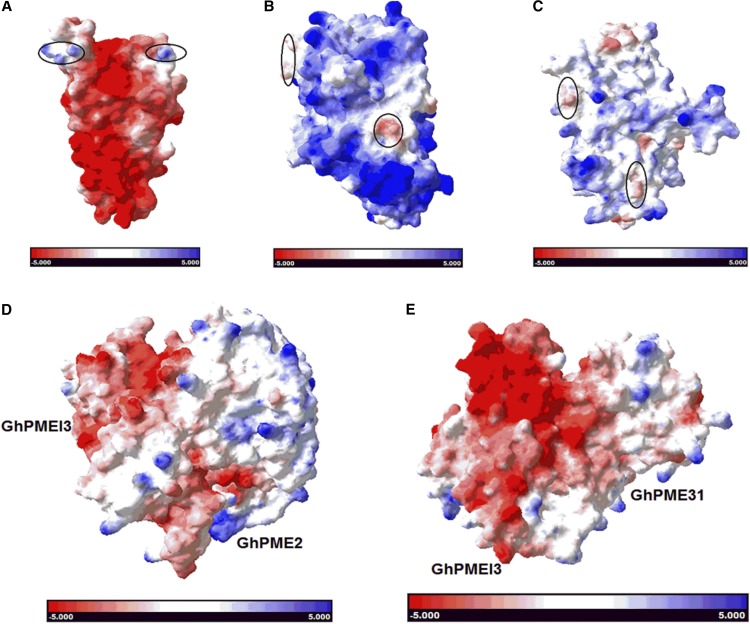 Figure 11.