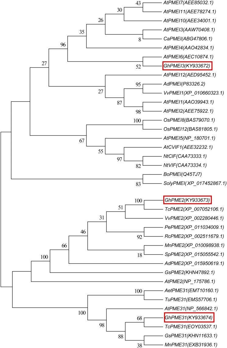 Figure 3.