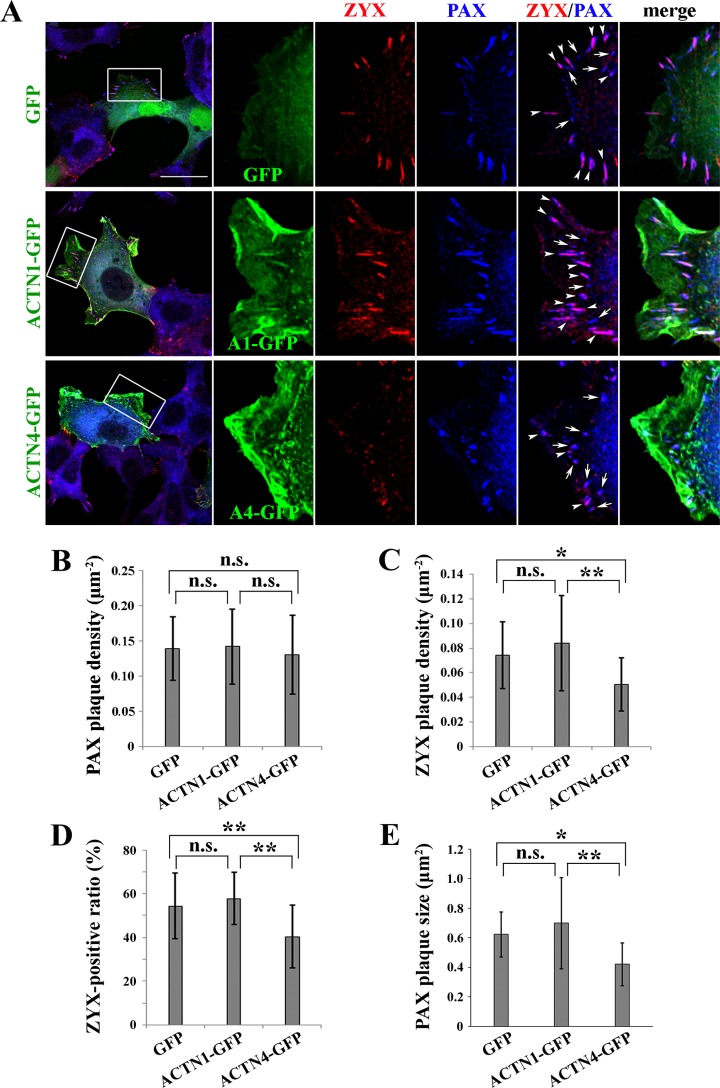 Fig 4