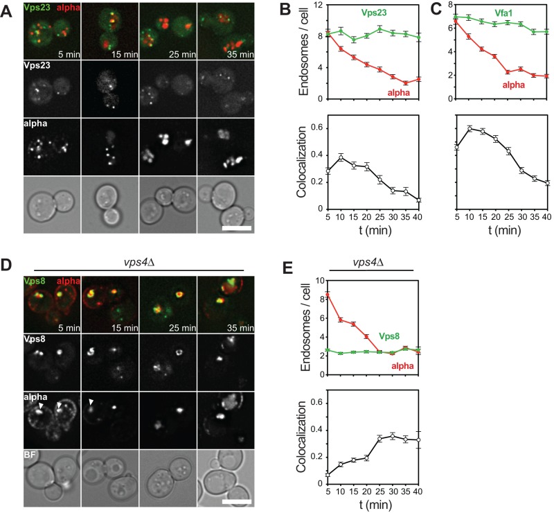 FIGURE 6: