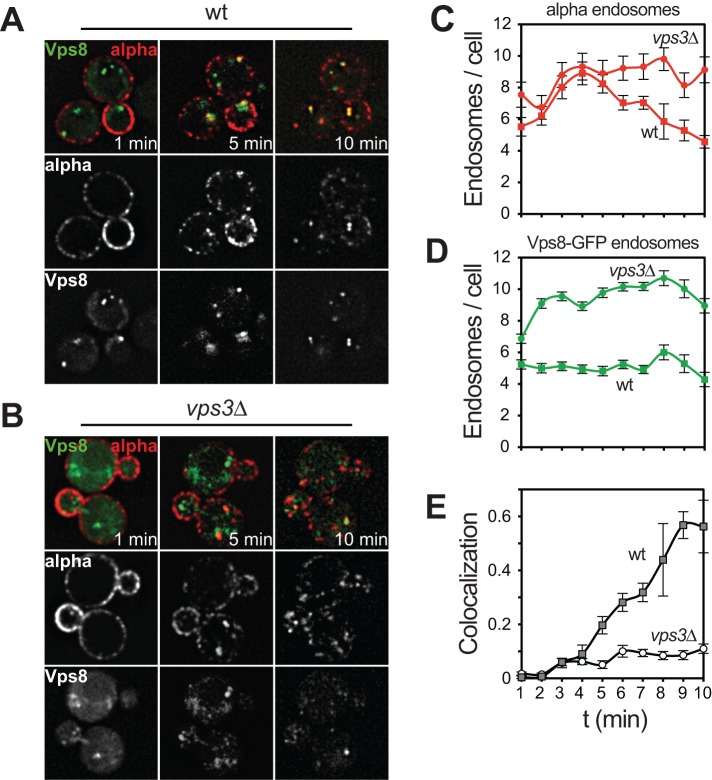 FIGURE 4: