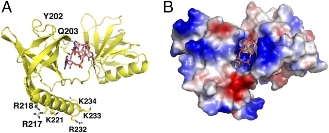 Fig. 4.