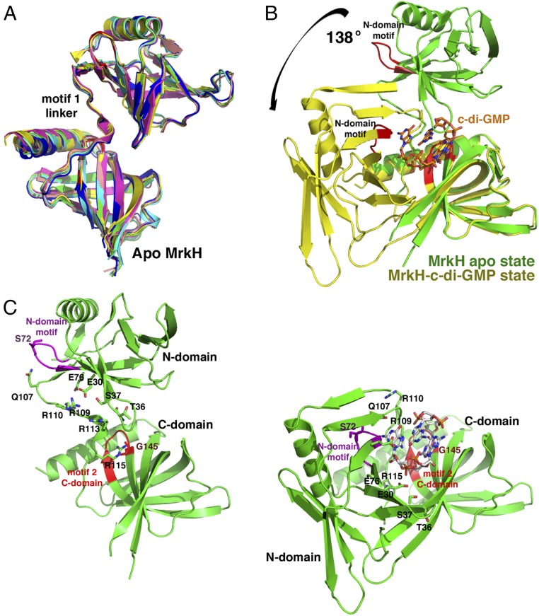 Fig. 3.