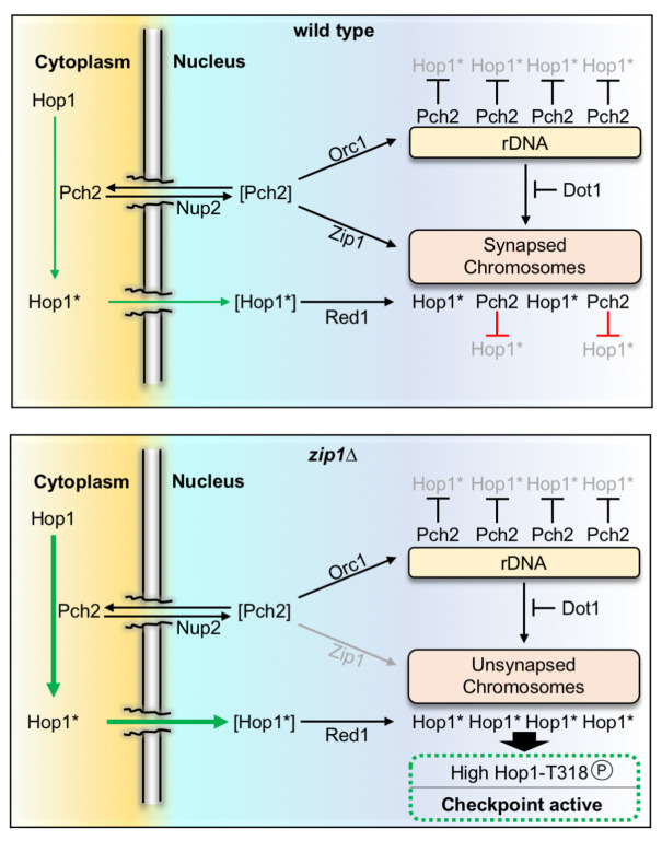 Fig 8