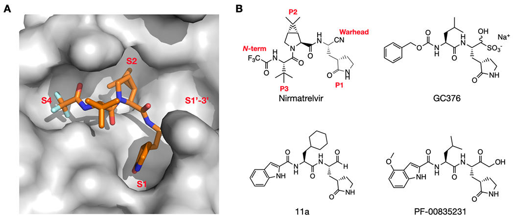 Figure 1: