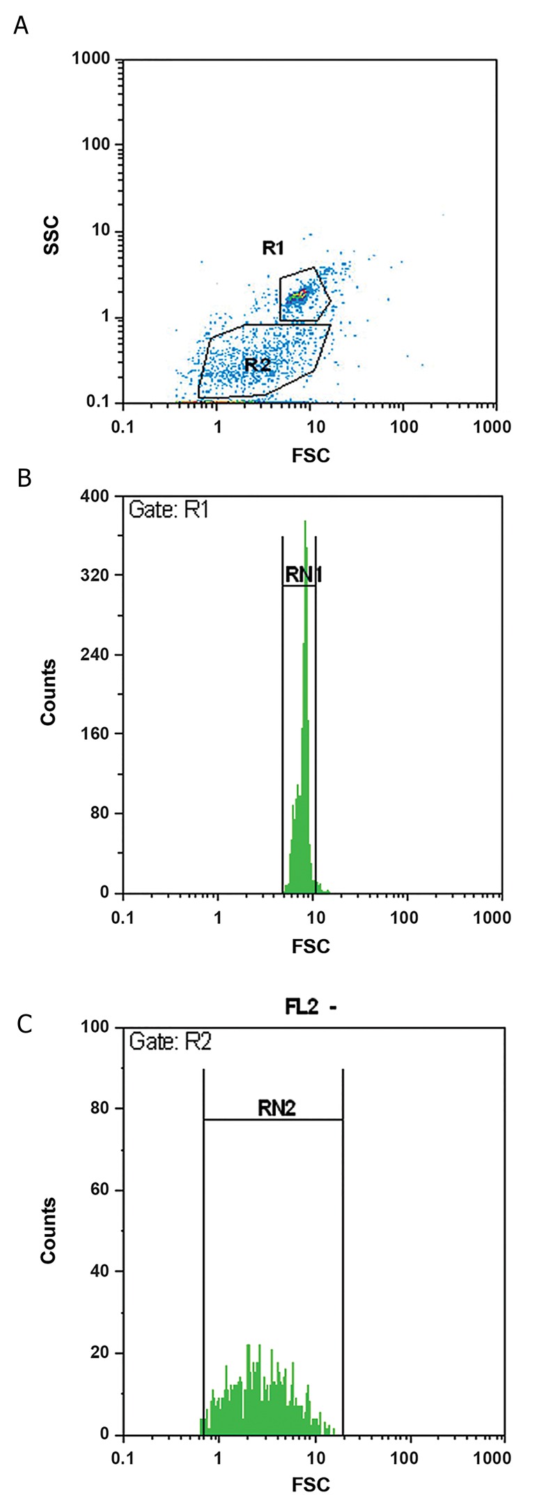 Fig.1