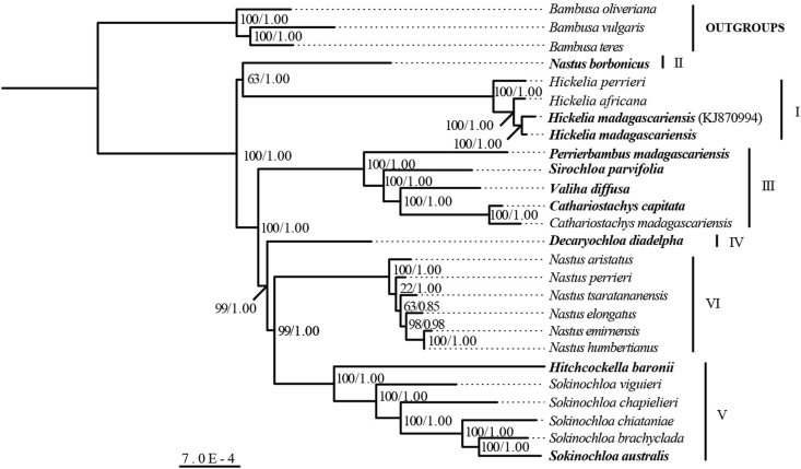 Fig. 2