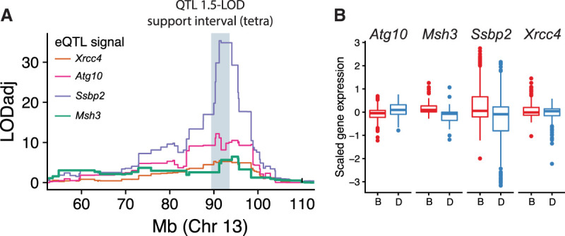 Figure 4.