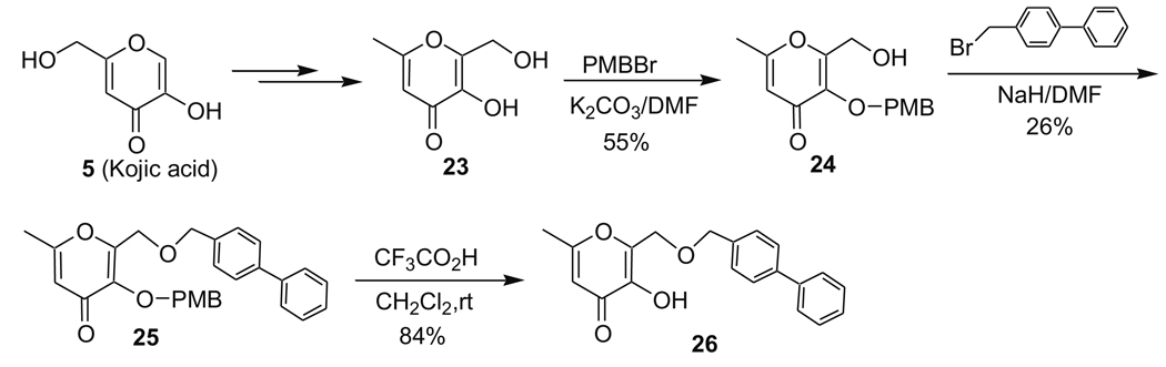 Scheme 5