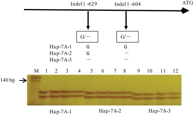 Fig. 7.