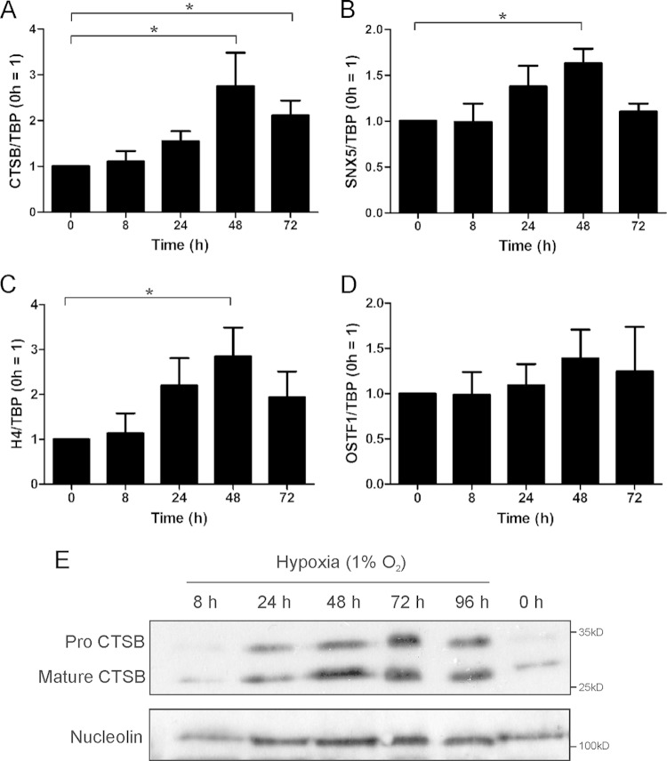 FIG 2