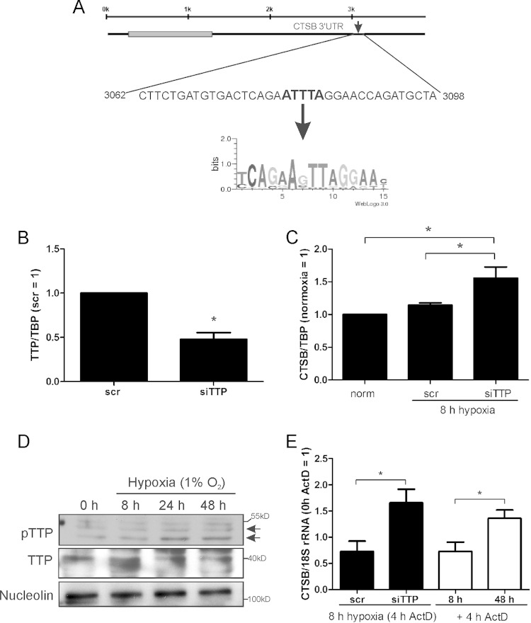 FIG 5