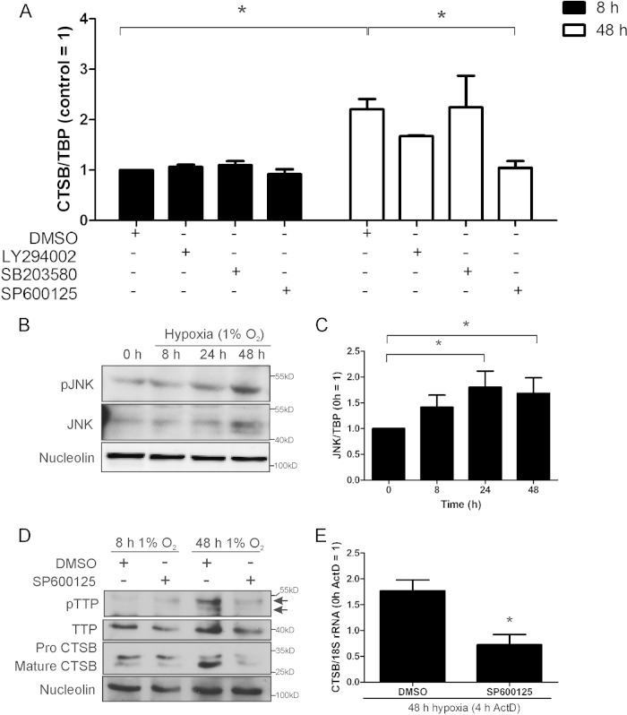 FIG 6