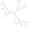 Fig 7