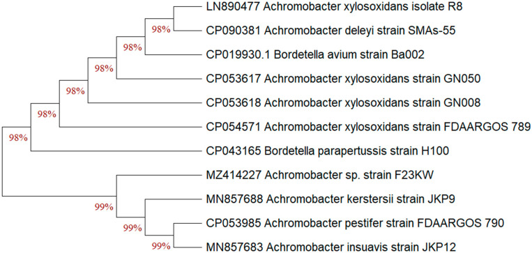 Figure 4