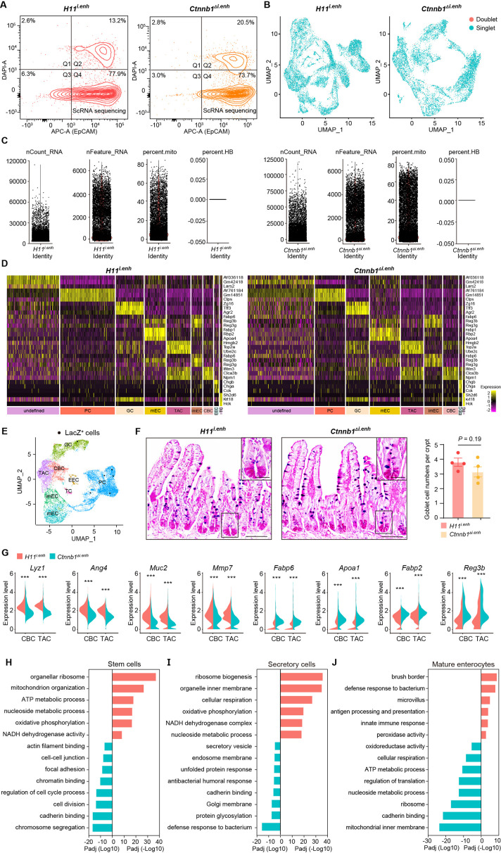 Figure 2—figure supplement 1.