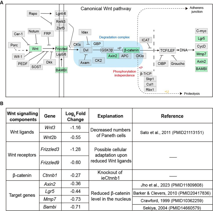 Figure 1—figure supplement 3.