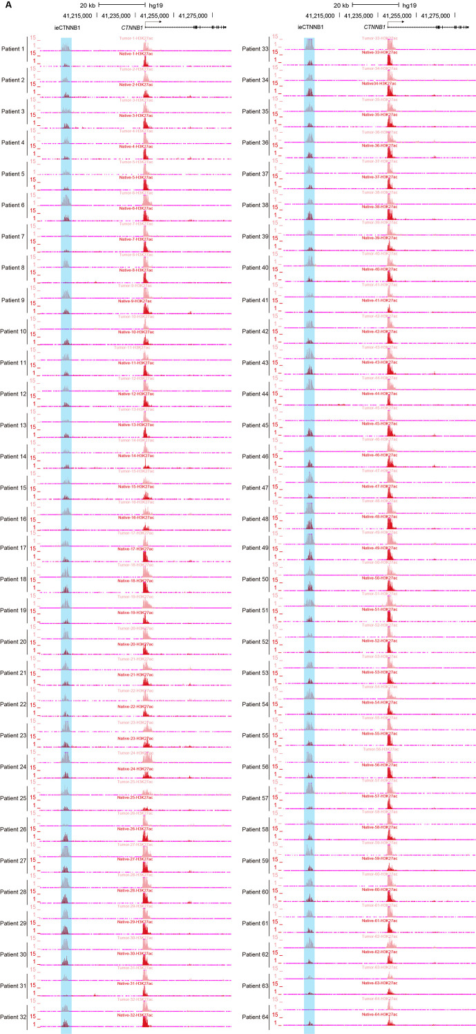 Figure 5—figure supplement 1.