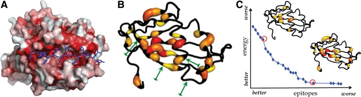 FIG. 1.