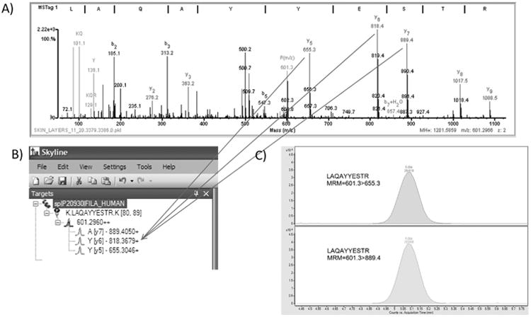 Figure. 1