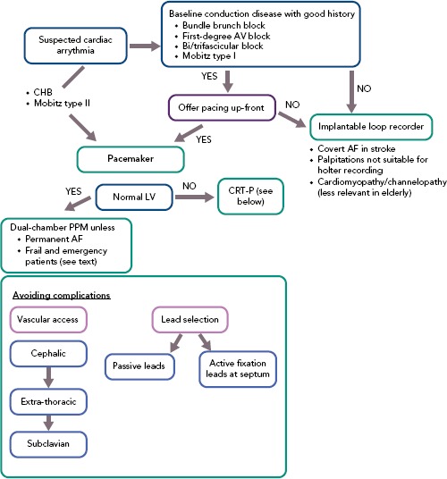 Figure 1: