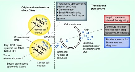 Figure 2. 