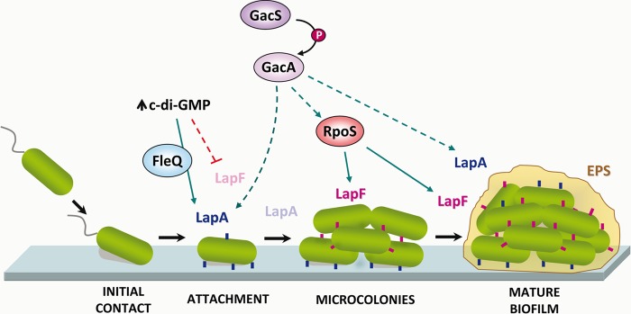 FIG 11