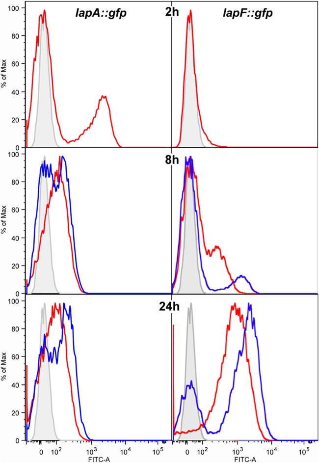 FIG 3