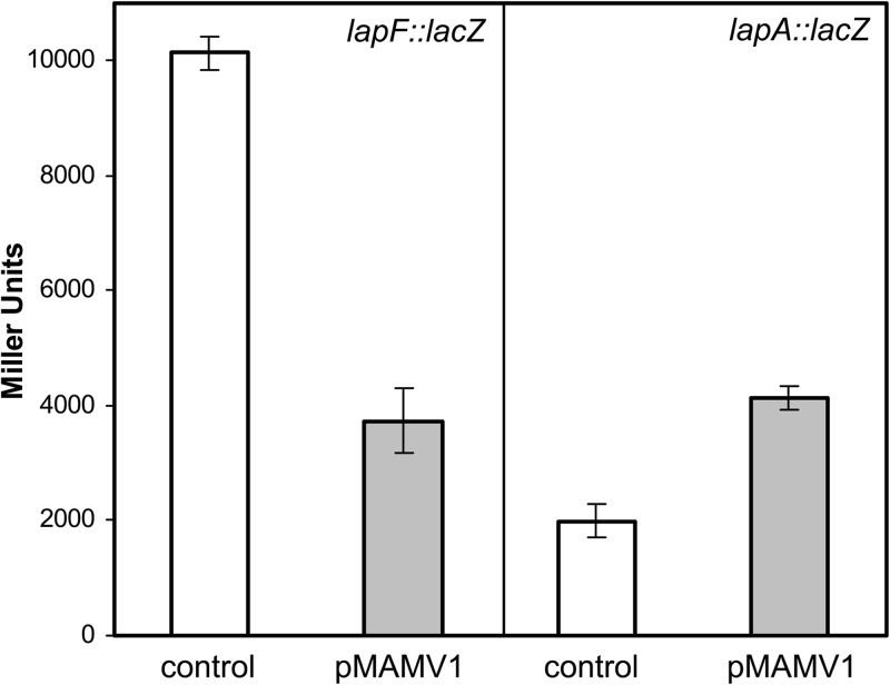 FIG 7