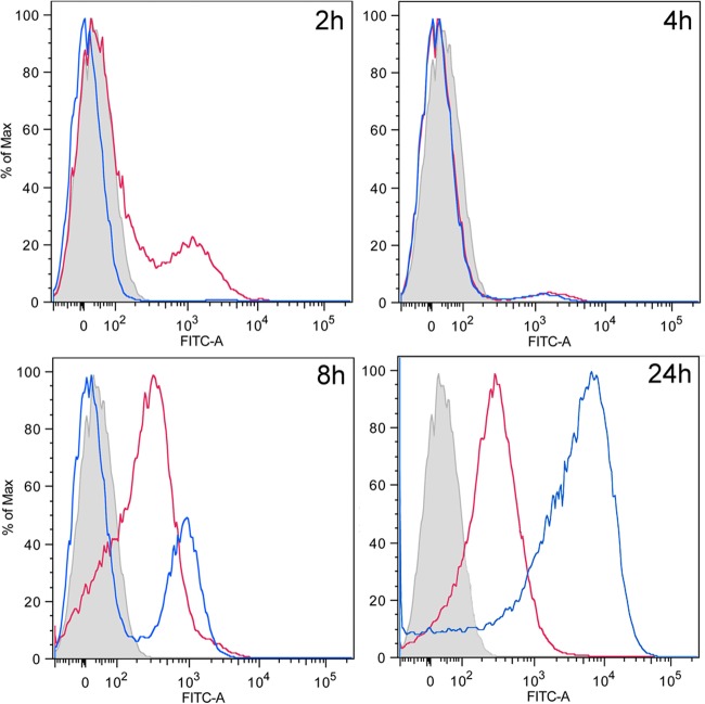 FIG 10