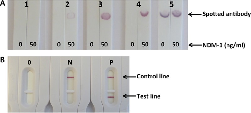 FIG 2