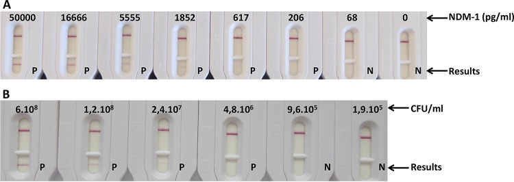 FIG 3