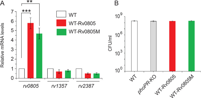 Figure 3—figure supplement 1.