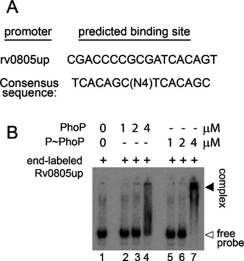 Figure 2—figure supplement 1.