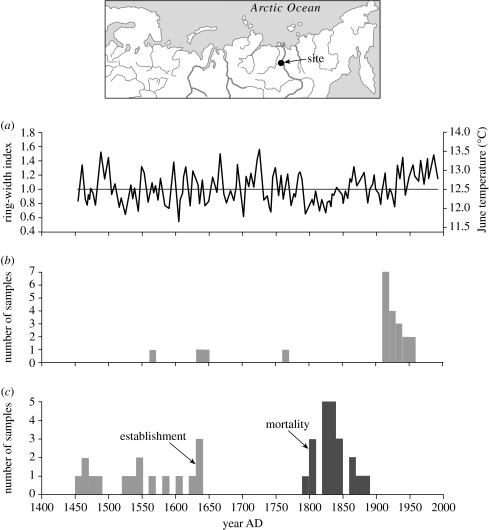 Figure 13