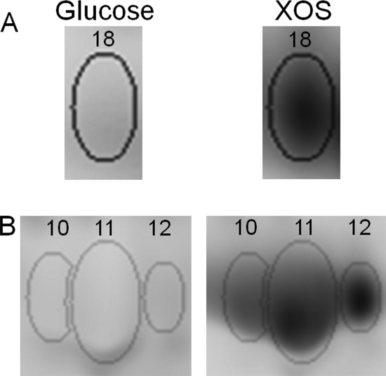 FIG. 3.