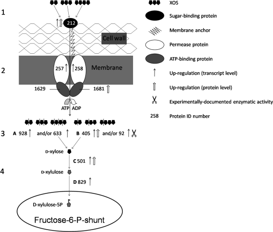 FIG. 4.