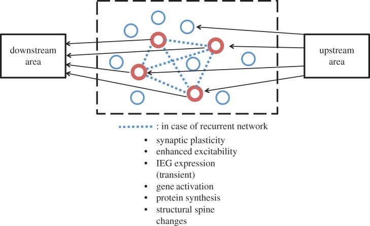 Figure 1.