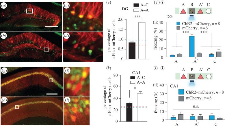 Figure 4.