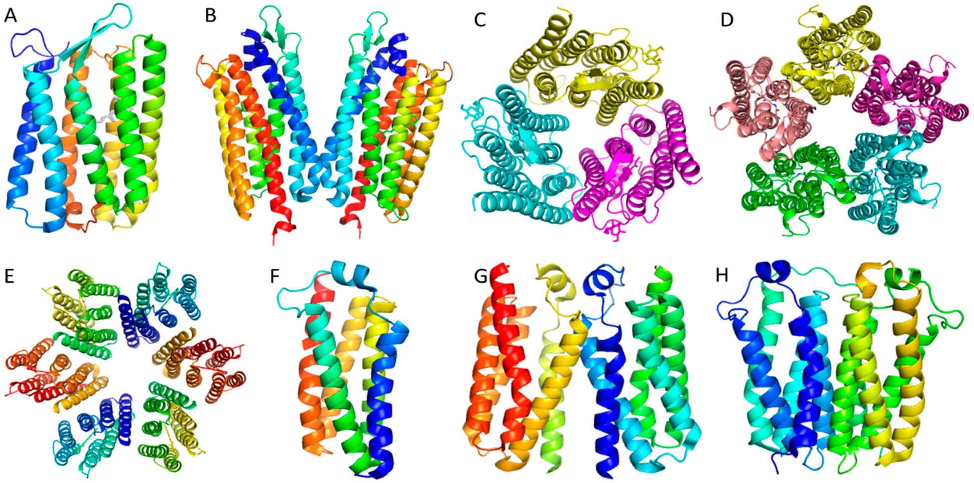 Figure 2.