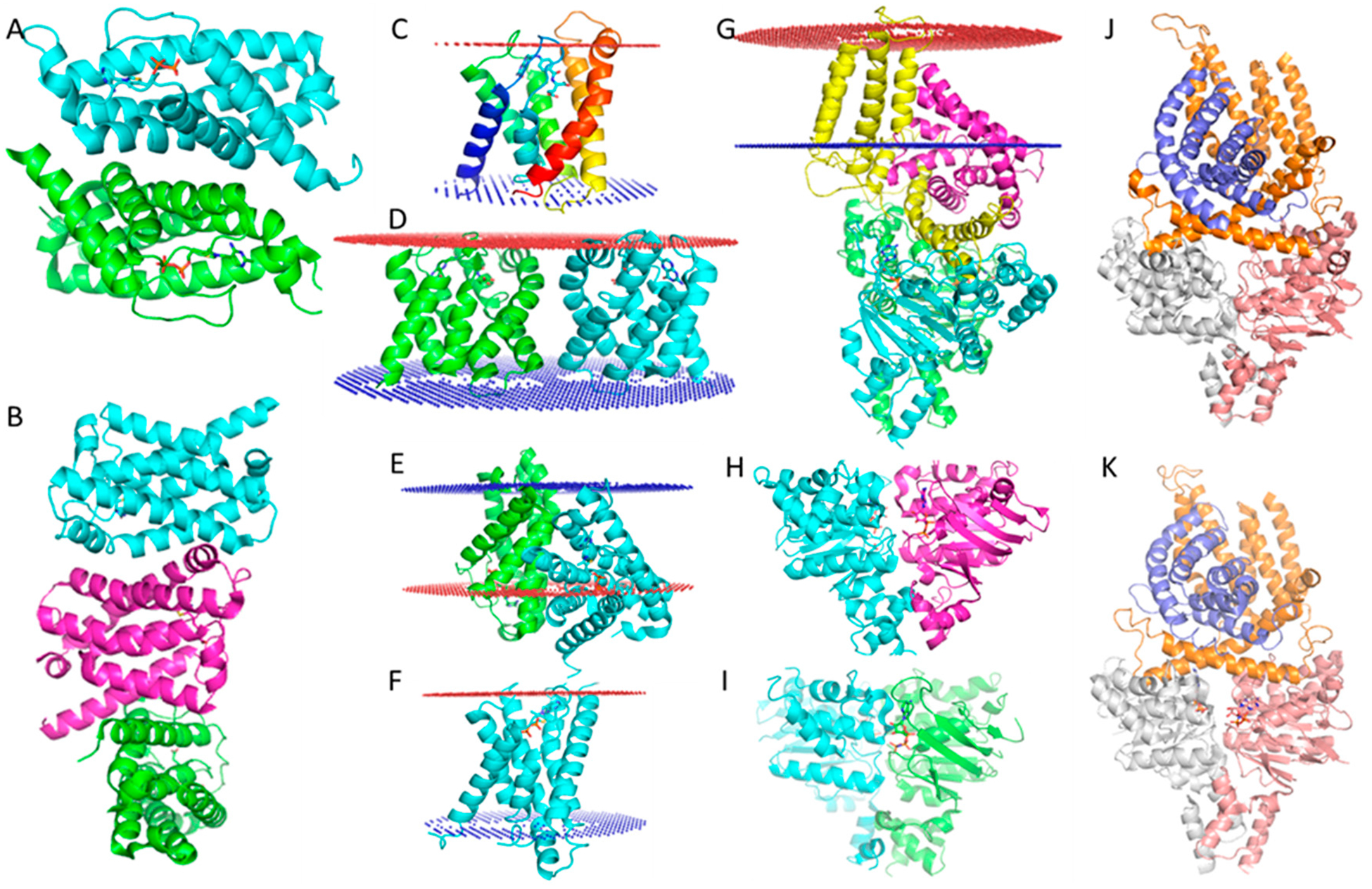 Figure 3.