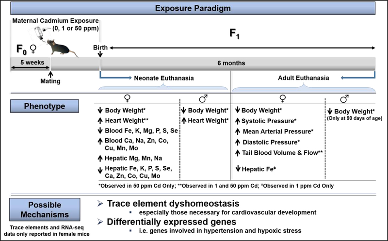 Fig 2.