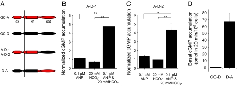 Fig. 5.