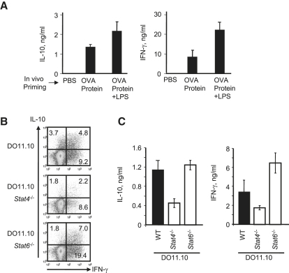 Figure 3